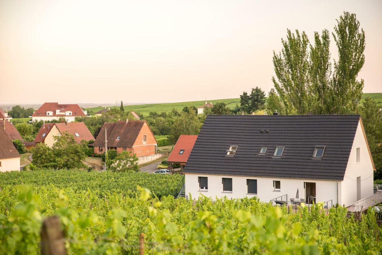 Aux Pieds Des Vignes Appartement Bergheim Buitenkant foto