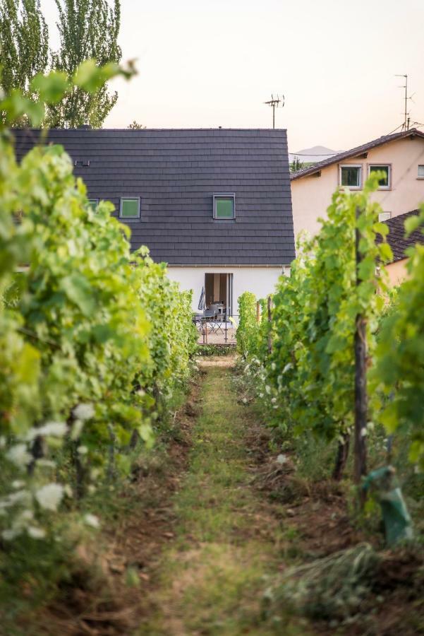 Aux Pieds Des Vignes Appartement Bergheim Buitenkant foto