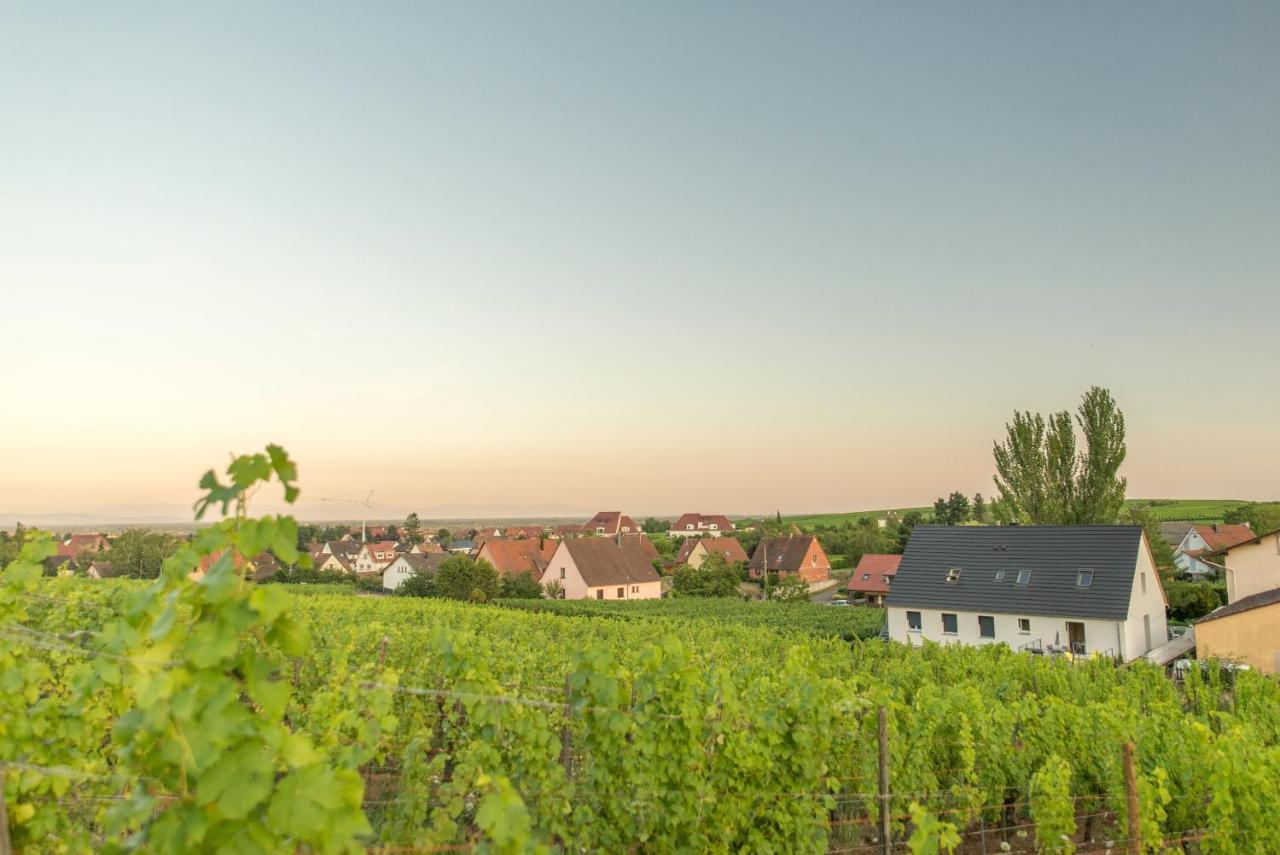Aux Pieds Des Vignes Appartement Bergheim Buitenkant foto